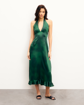 From Future Alma Backless Long Dress Blurry Garden | Women Dresses