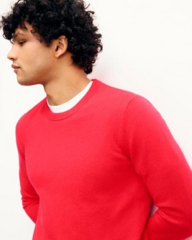  From Future Rundhalspullover in der Farbe Spicy Coral | Herren-Kaschmirpullover mit Rundhalsausschnitt