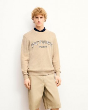  Von Future Future Paris Rundhalspullover, meliertes Beige | Herren-Kaschmirpullover mit Rundhalsausschnitt